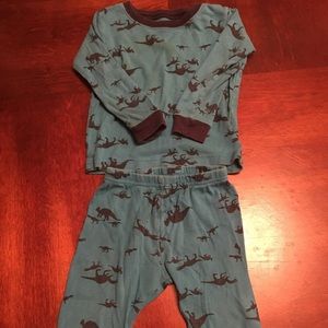 Boys dinosaur pjs